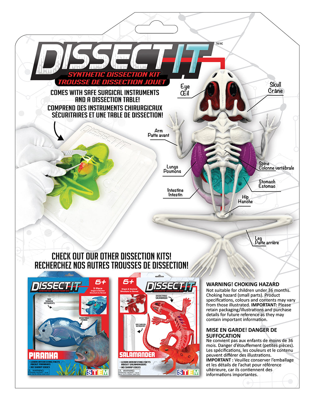 Dissect It - Frog in the Lab