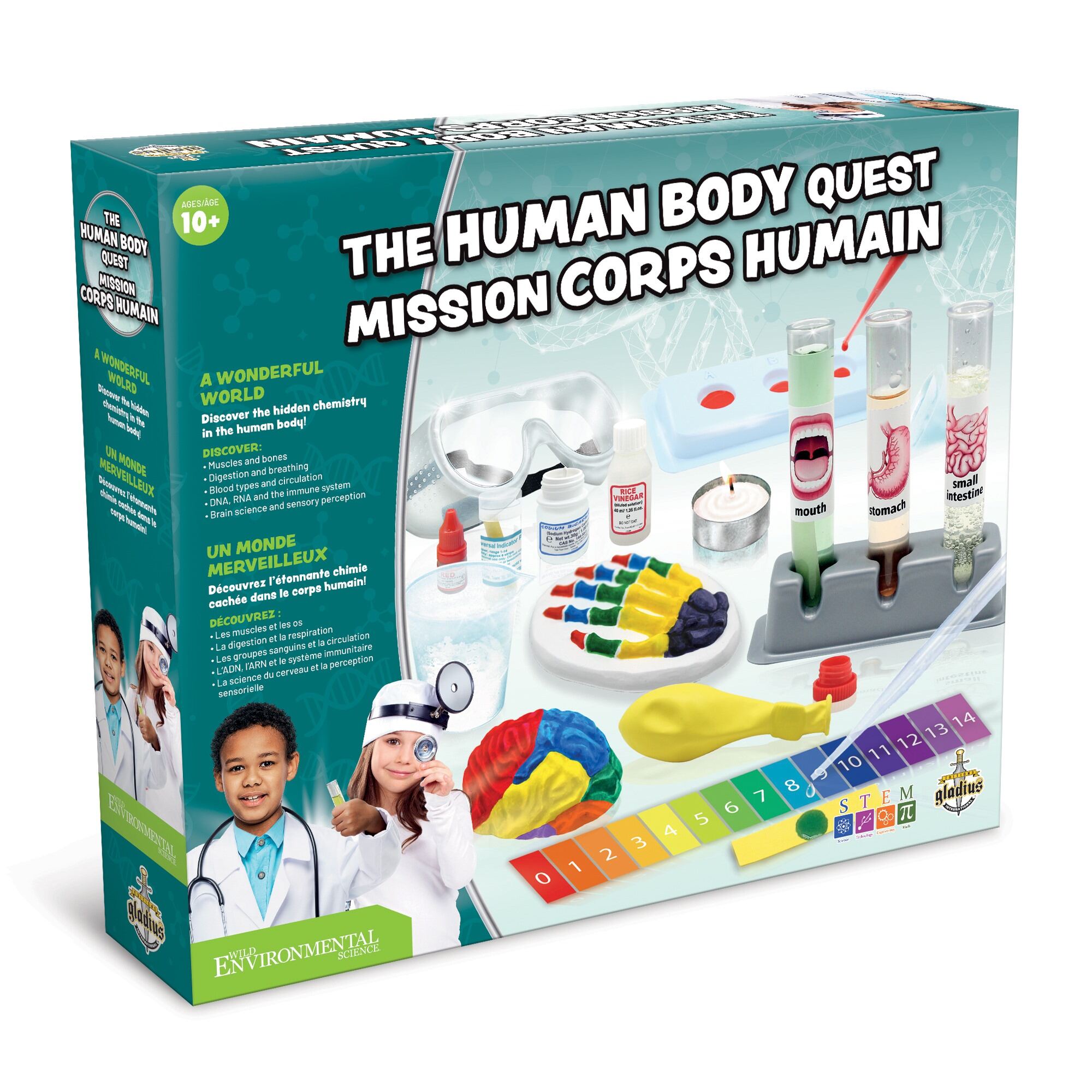 Doctor - The Human Body (Bil)