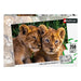 Adorables lionceaux - 250 mcx - La Ribouldingue