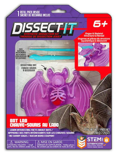 Dissect It - Chauve-souris au labo - La Ribouldingue