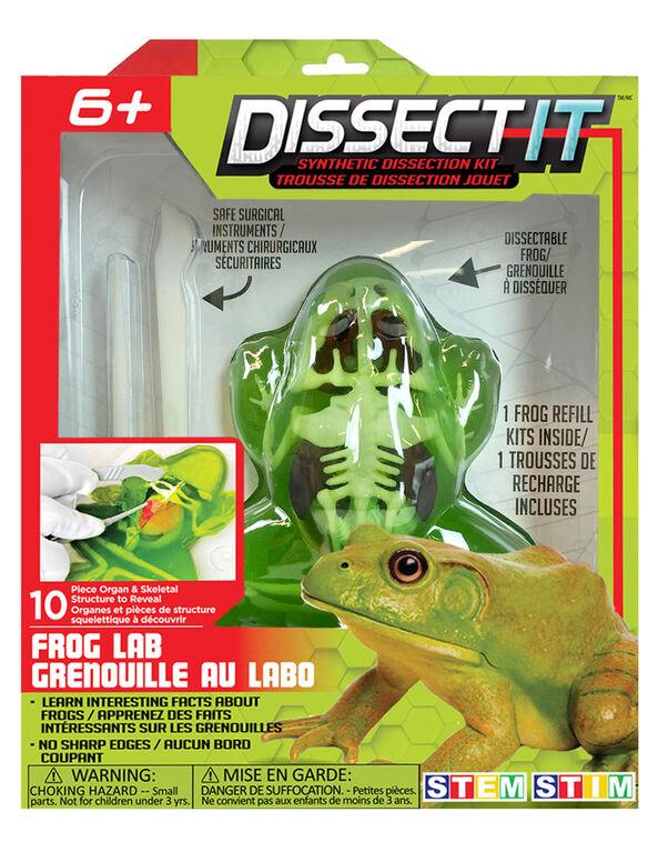 Dissect It - Grenouille au labo - La Ribouldingue