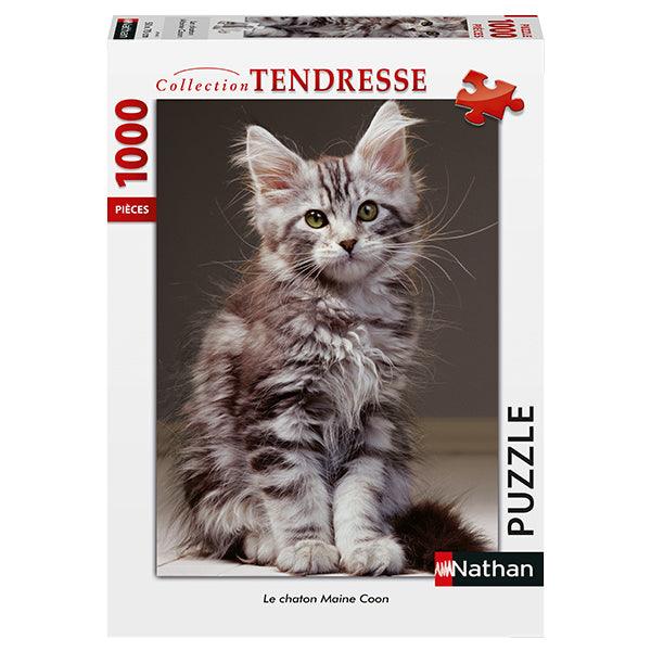 Le chaton Maine Coon - 1000 mcx - La Ribouldingue