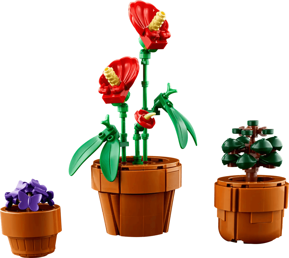 Les plantes miniatures - Icons - La Ribouldingue