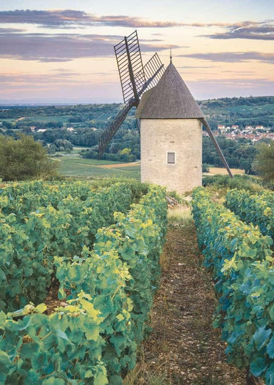 Moulin Sorine du vignoble de Santenay, Bourgogne - 1000 mcx - La Ribouldingue