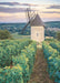 Moulin Sorine du vignoble de Santenay, Bourgogne - 1000 mcx - La Ribouldingue