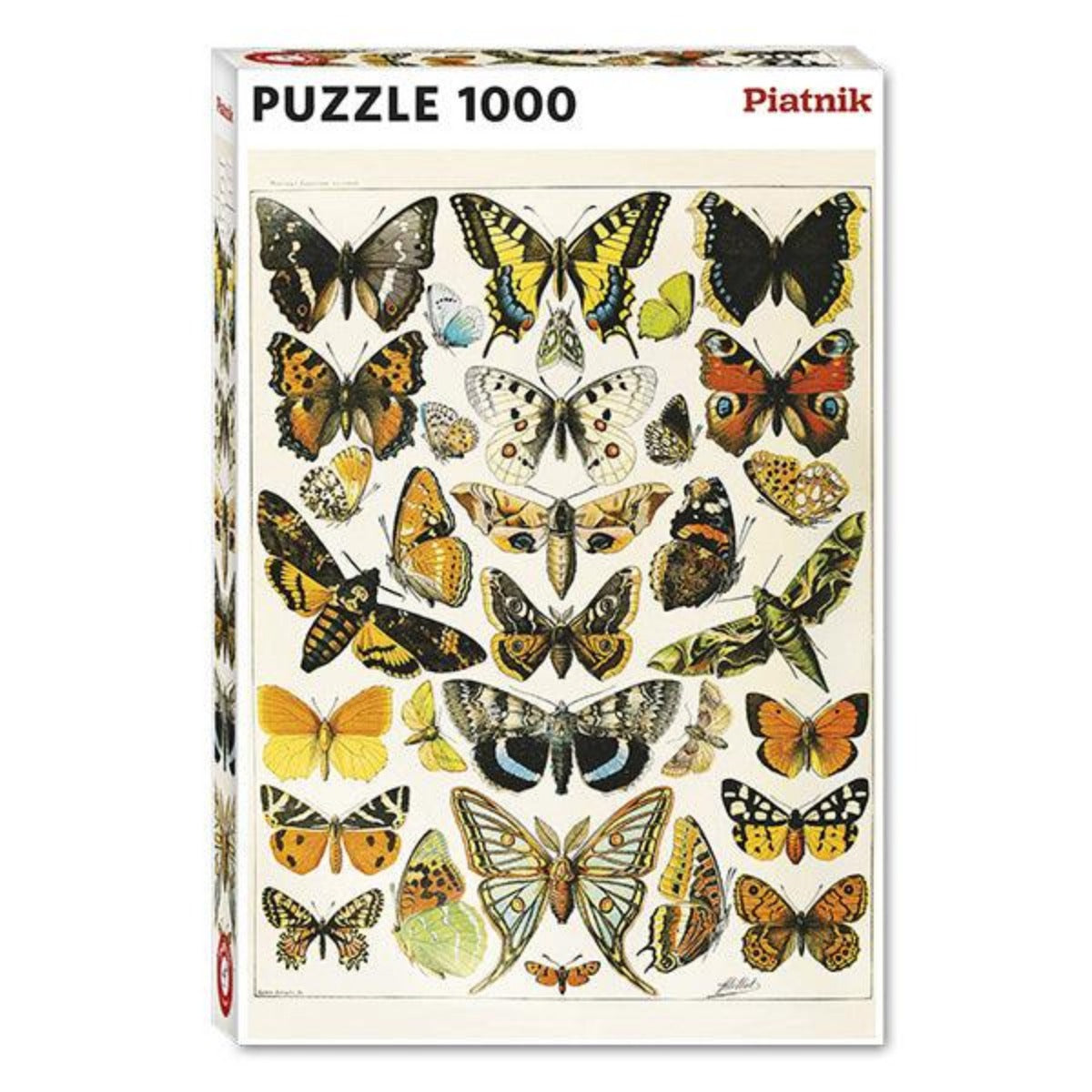 Butterflies and moths - 1000 pcs