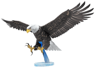 Premium Series - American Bald Eagle - La Ribouldingue