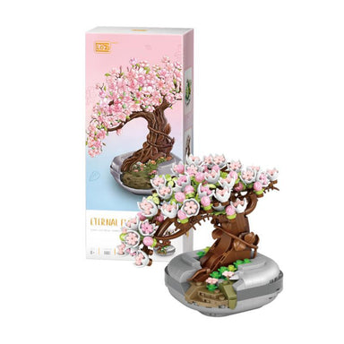 Sakura Cherry Blossom Bonsai - La Ribouldingue