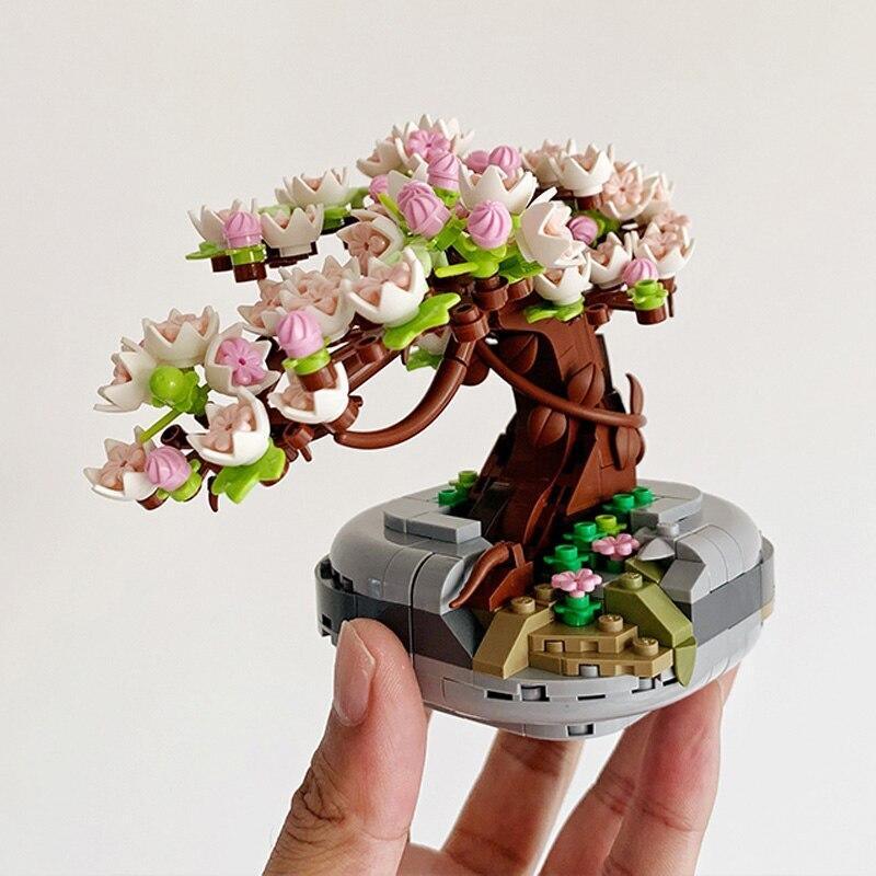 Sakura Cherry Blossom Bonsai - La Ribouldingue