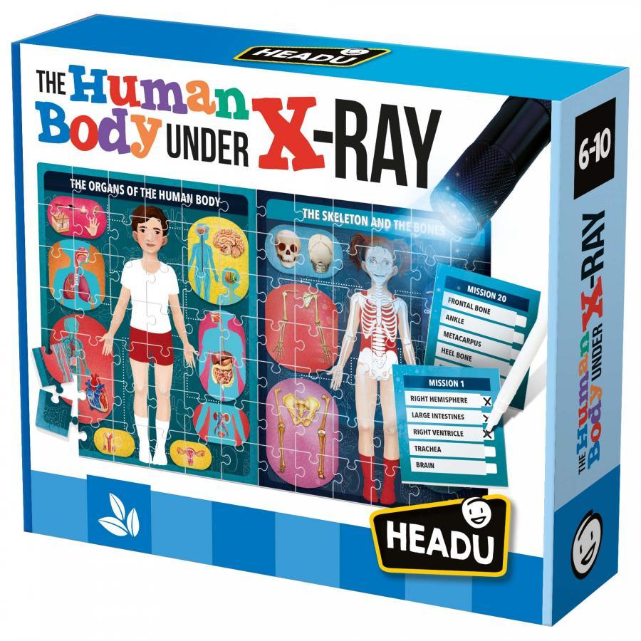 The Human Body under X-Ray (Ang) - La Ribouldingue