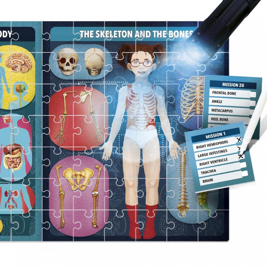 The Human Body under X-Ray (Ang) - La Ribouldingue