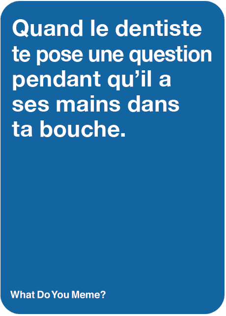 What Do You Meme? Famille - Éd. Québecoise (Fr) - La Ribouldingue