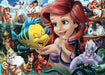 Ariel - Disney - 1000 mcx - La Ribouldingue