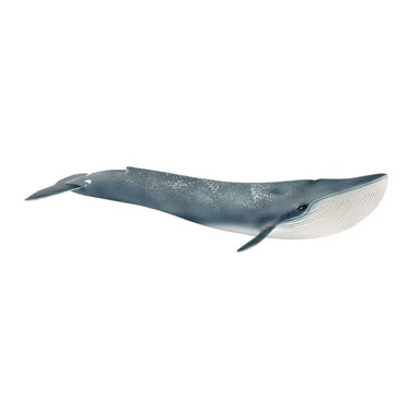 Baleine bleue - La Ribouldingue