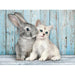 Cat & Bunny - 500 mcx - La Ribouldingue