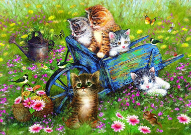 Chatons dans le Jardin - 1000 mcx - La Ribouldingue