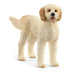 Chien Goldendoodle - La Ribouldingue