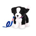 Chiot Border Collie - La Ribouldingue