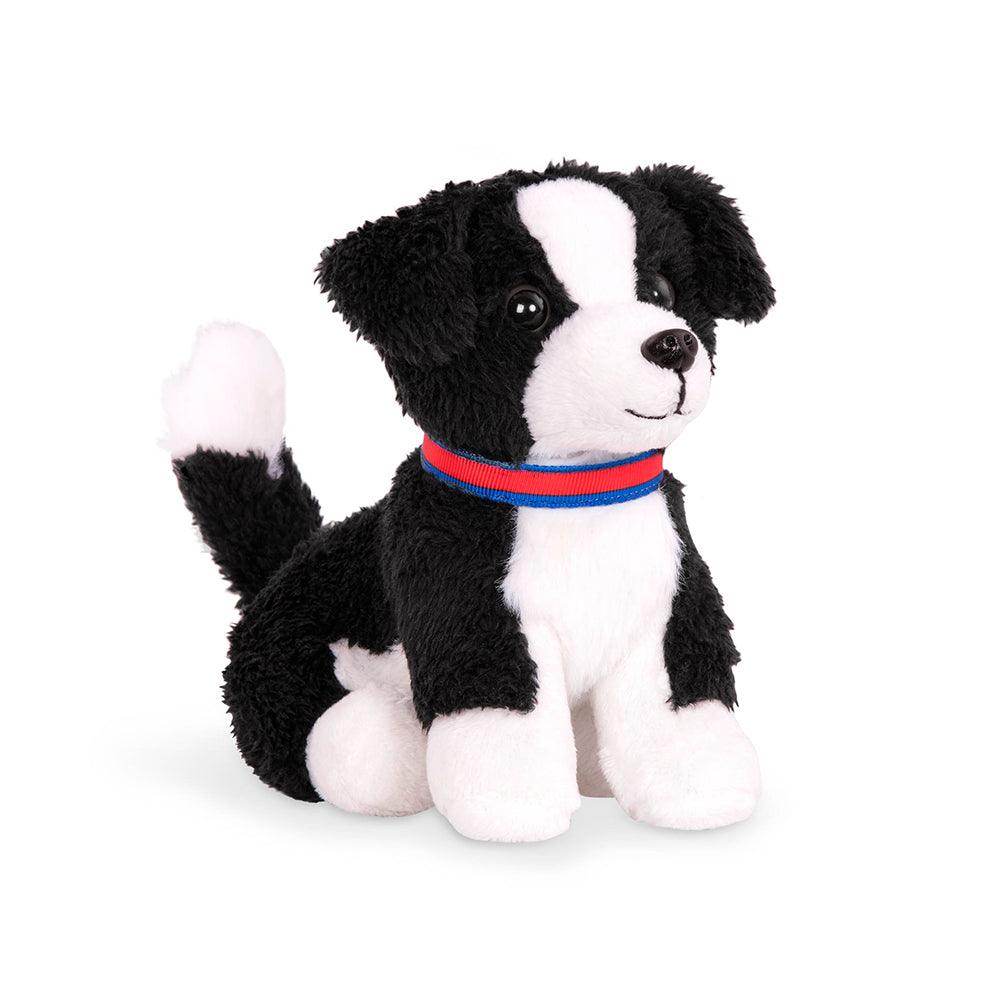 Chiot Border Collie - La Ribouldingue