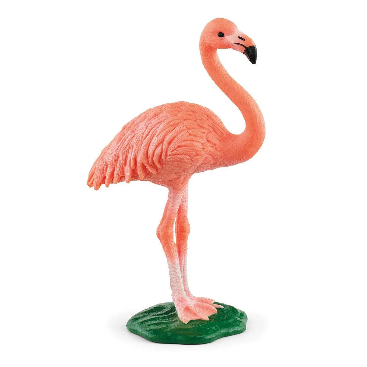 Flamant rose - La Ribouldingue