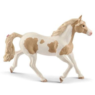 Jument Paint Horse - La Ribouldingue