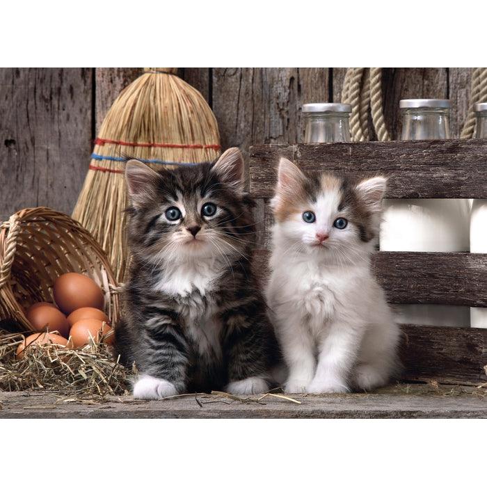 Lovely Kittens - 1000 mcx - La Ribouldingue