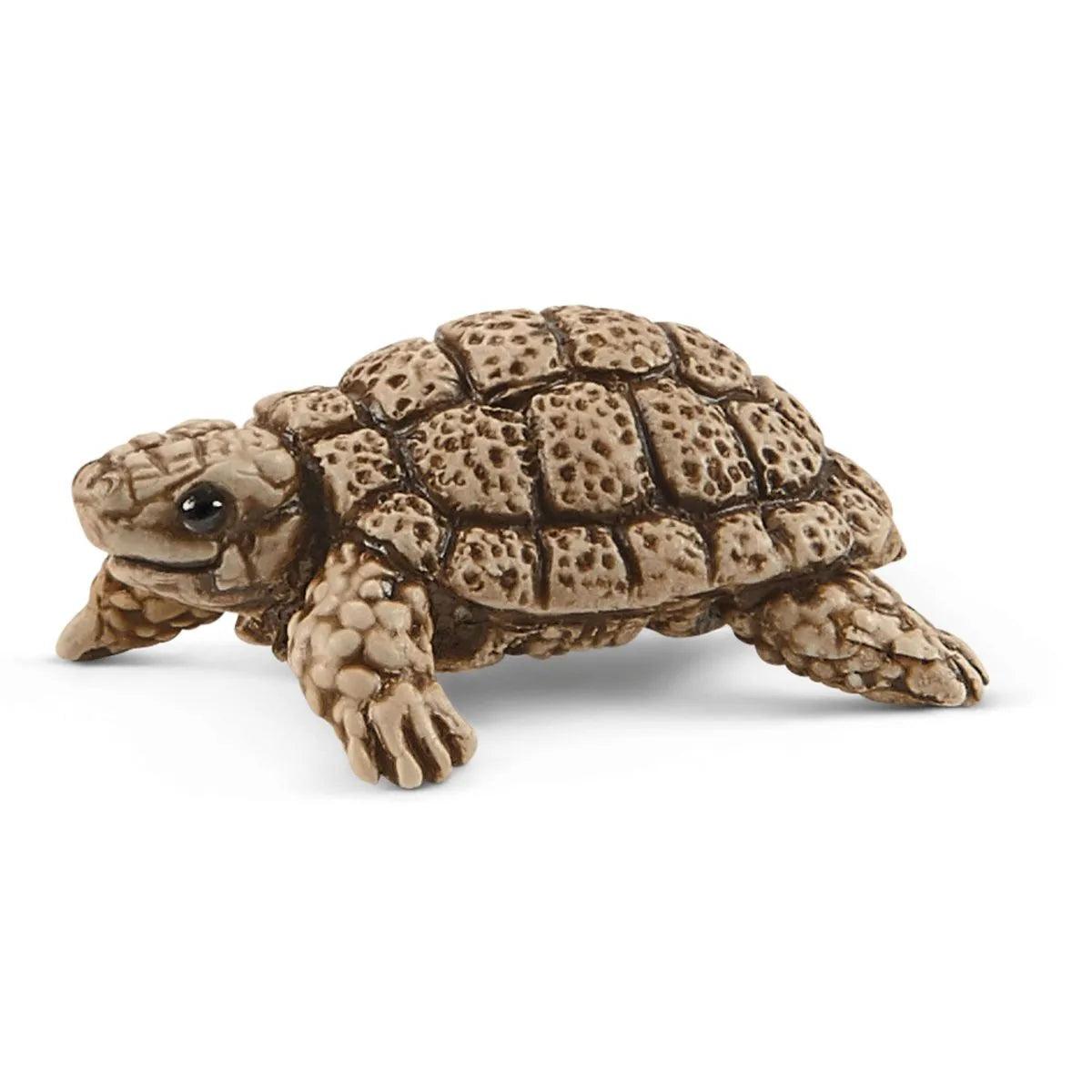 Maison pour tortues - Wild Life - La Ribouldingue