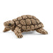 Maison pour tortues - Wild Life - La Ribouldingue