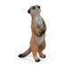 Monticule des suricates - Wild Life - La Ribouldingue