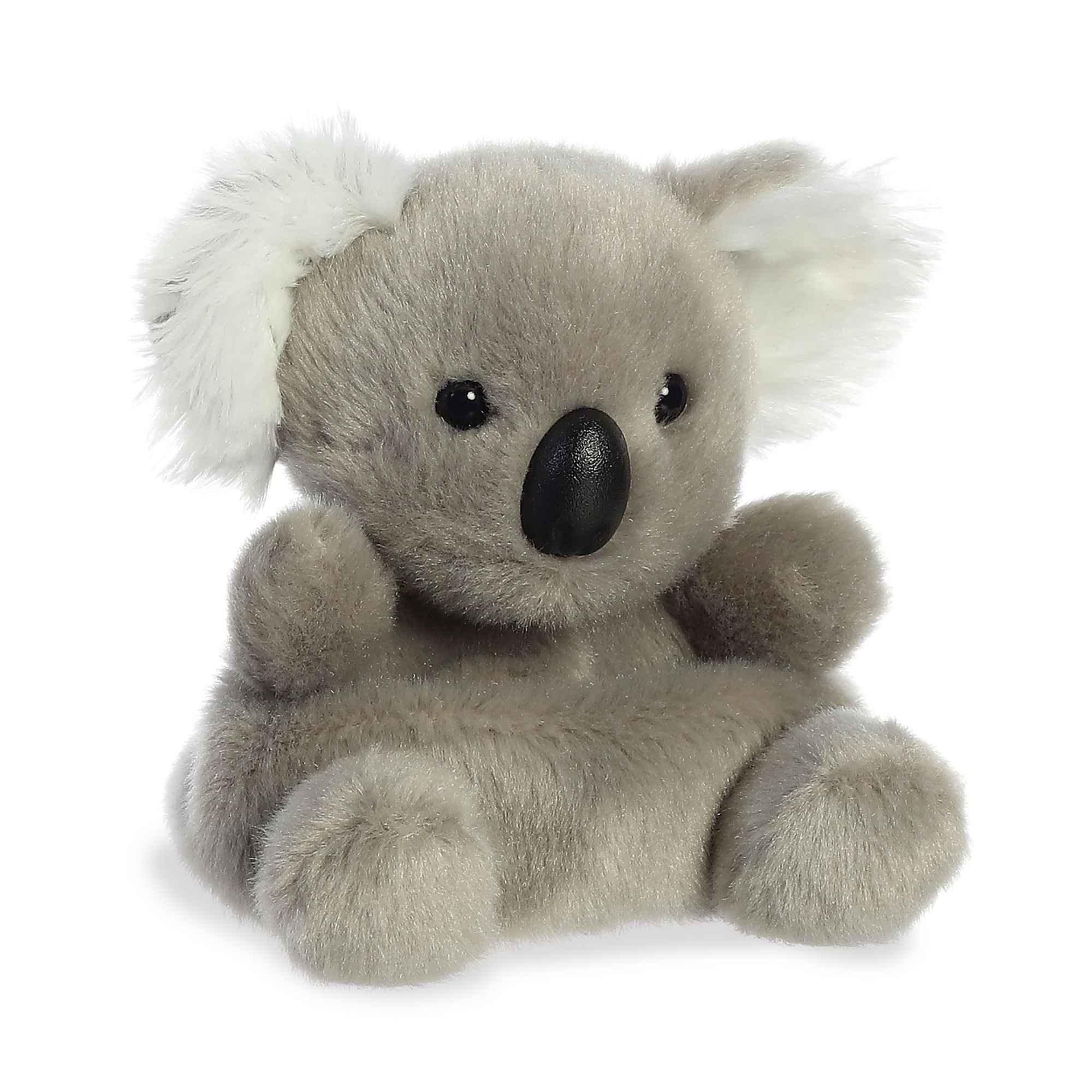 Palm Pals - Wiggles le Koala - 5 po - La Ribouldingue