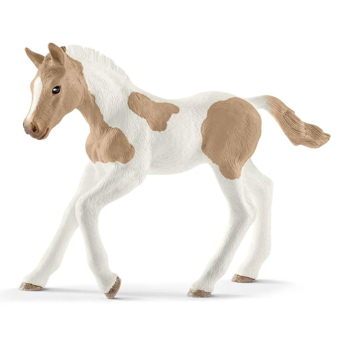 Poulain Paint Horse - La Ribouldingue