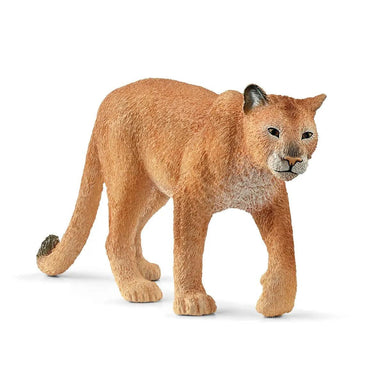 Puma (Cougar) - La Ribouldingue