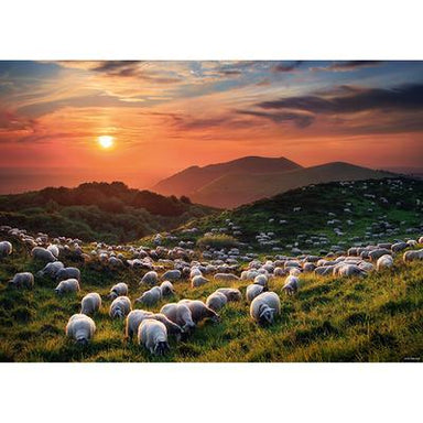 Sheep and Volcanoes - AVH - 1000 mcx - La Ribouldingue