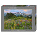 Tatoosh Mountains - AVH - 2000 mcx - La Ribouldingue