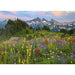 Tatoosh Mountains - AVH - 2000 mcx - La Ribouldingue